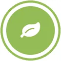 green-energy-africa-COMMUNITY-EMPOWERING-PROJECTS-1 green energy africa COMMUNITY EMPOWERING PROJECTS 1